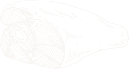 about-shape-1-2